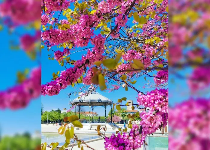 Apartamento Le Cosy Zen Valence (Drome)